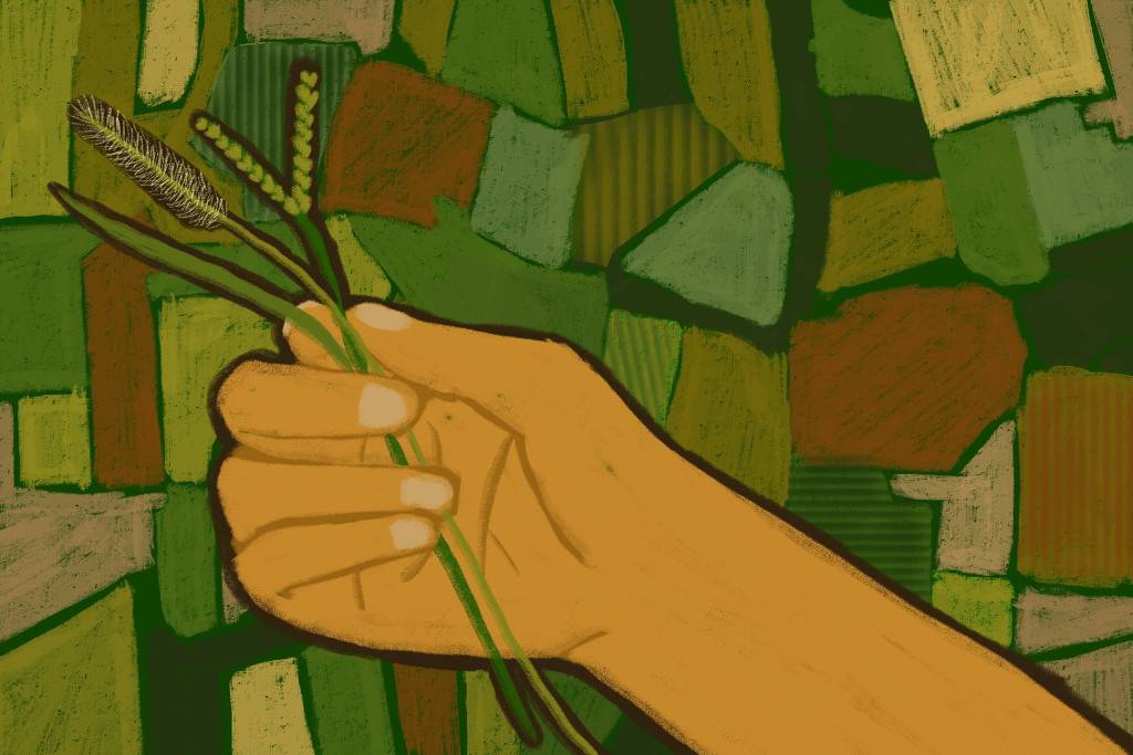 Illustration